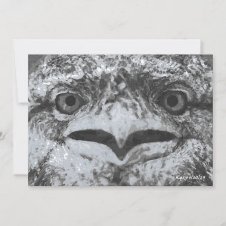 Australian Wildlife, Nature's Curmudgeon, Animal Invitation