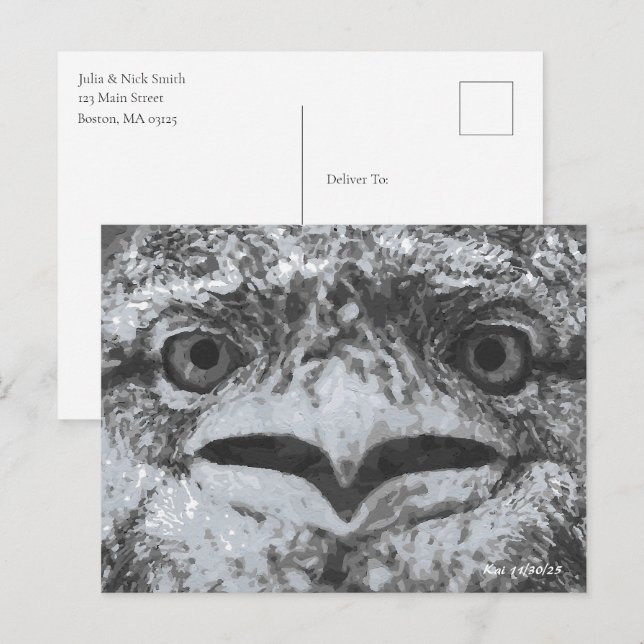 Australian Wildlife, Nature's Curmudgeon, Animal Postcard (Front/Back)