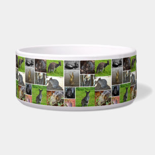 Australian Wildlife Photo Collage, Bowl