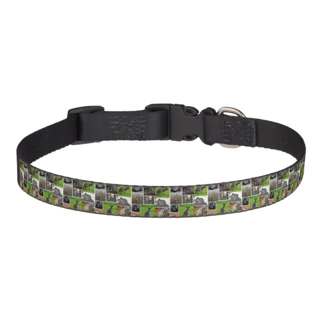 Australian Wildlife Photo Collage,  Pet Collar (Front)
