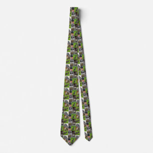 Australian Wildlife Picture Collage, Neck Tie