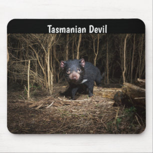 Australia's Tasmanian Devil Mouse Pad