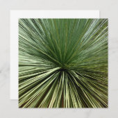 Australien Plant - abstract (Front/Back)