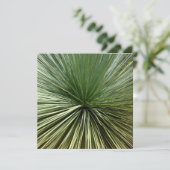 Australien Plant - abstract (Standing Front)