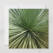 Australien Plant - abstract (Front)