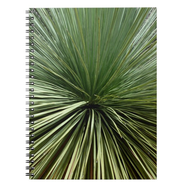 Australien Plant - abstract Notebook (Front)