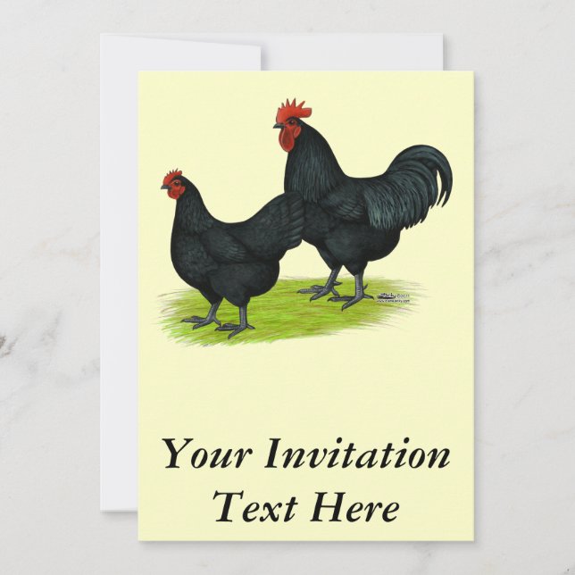 Australorp Black Chickens Invitation (Front)