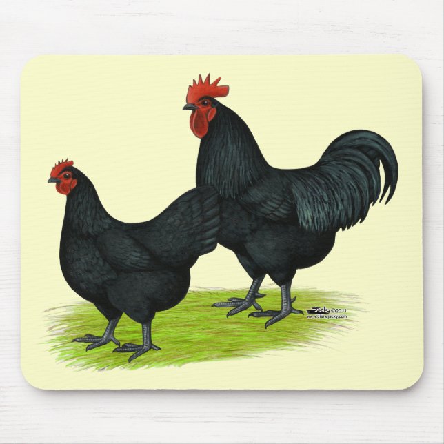 Australorp Black Chickens Mouse Pad (Front)