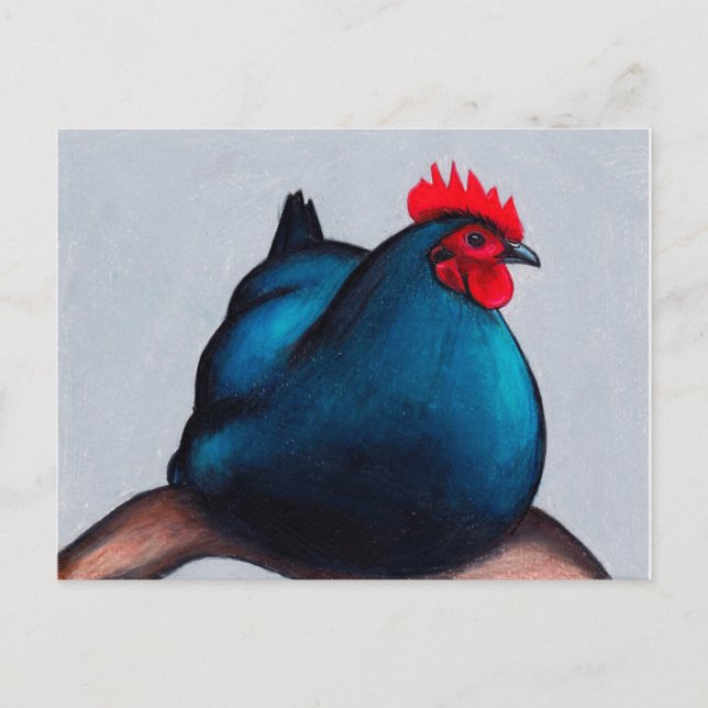Australorp Chicken Hen Postcard (Front)