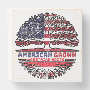 Austria Austrian US American USA United States Wooden Box Sign