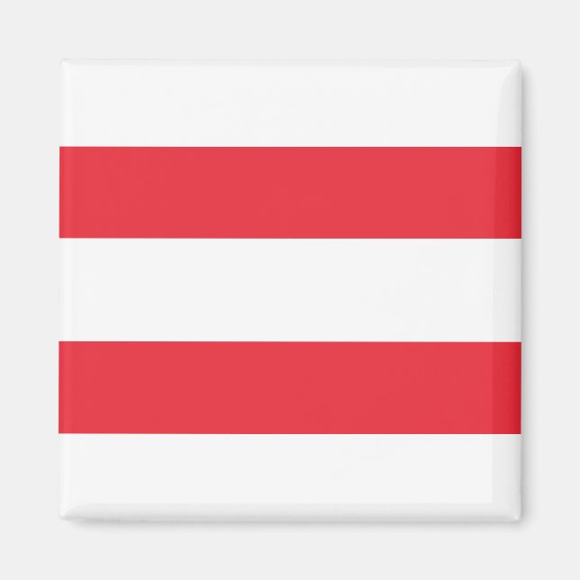 Austria Flag Magnet (Front)