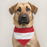Austria flag pet bandana collar