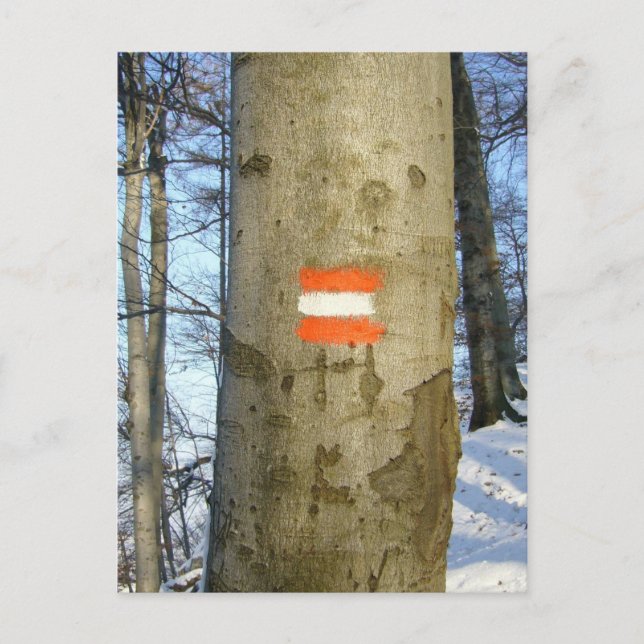 austria flag tree postcard (Front)