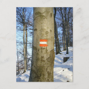 austria flag tree postcard