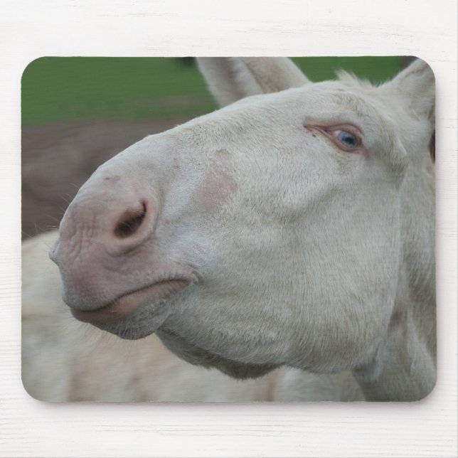 Austria-Hungarian White Donkey Mouse Pad (Front)