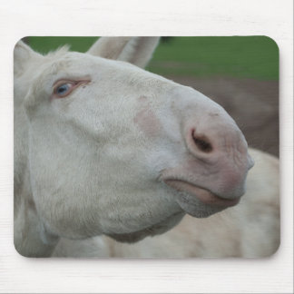 Austria-Hungarian White Donkey Mouse Pad