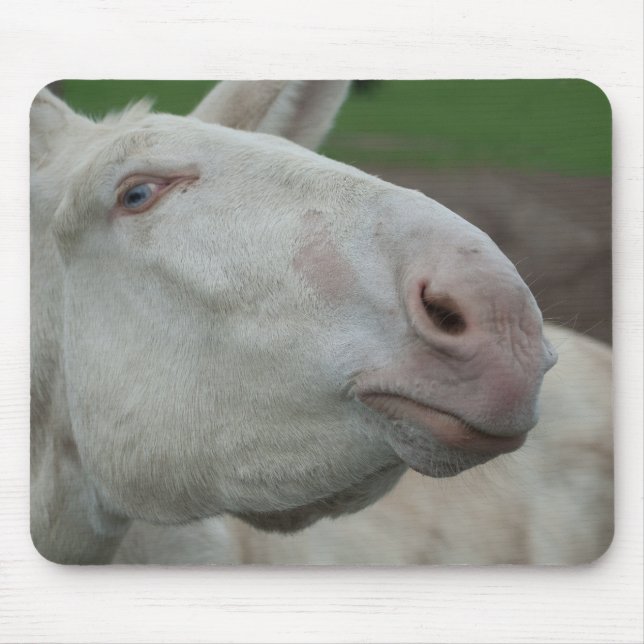 Austria-Hungarian White Donkey Mouse Pad (Front)
