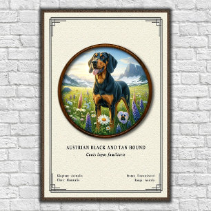 Austrian Black and Tan Hound Zoology Series Poster