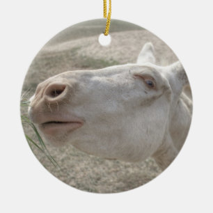 Austrian-Hungarian White Donkey Ceramic Ornament