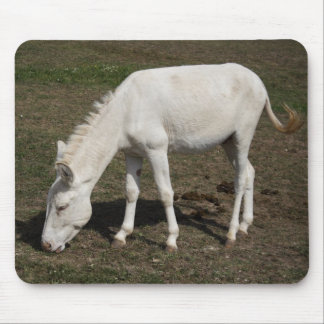 Austrian-Hungarian White Donkey Mouse Pad