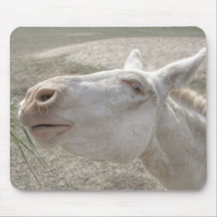 Austrian-Hungarian White Donkey Mouse Pad