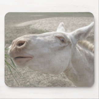 Austrian-Hungarian White Donkey Mouse Pad