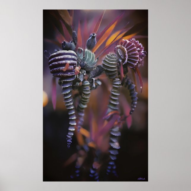 Auténtico Poster (Front)