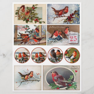 Authentic Victorian Era Postcards with Robins