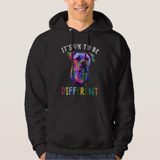 Autism Awareness Its Ok To Be Different Pitbull Hoodie