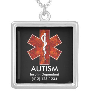 Autism Medical   Necklace: Customizable Silver Plated Necklace