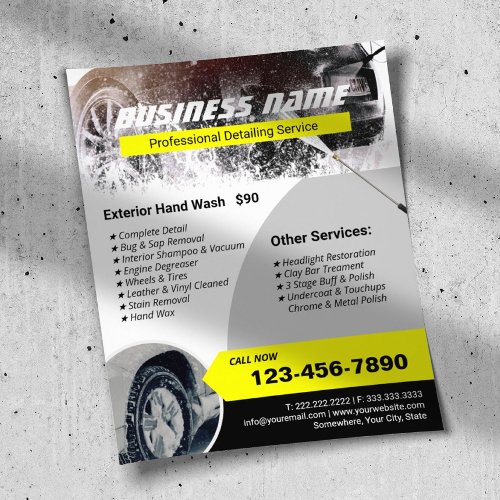 Auto Detailing Power Wash Professional Cleaning  Flyer