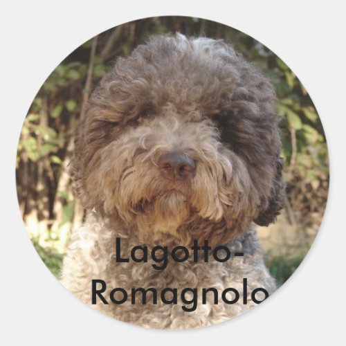 autocollant Lagotto_Romagnolo Classic Round Sticker