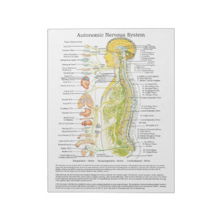 Autonomic Nervous System Tear Off Pad