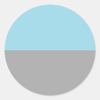 Autosexual Pride Flag Classic Round Sticker