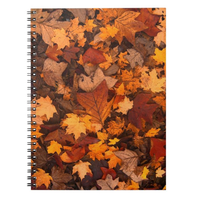 Autum Leaves Notebook (Front)