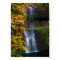 Autum Lower South Falls