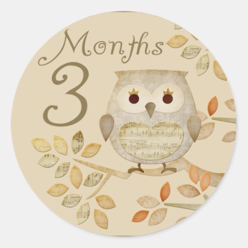 Autum Owl 3 Months Sticker