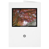 Autumn ~ 15 cards (Back)