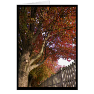Autumn ~ 15 cards