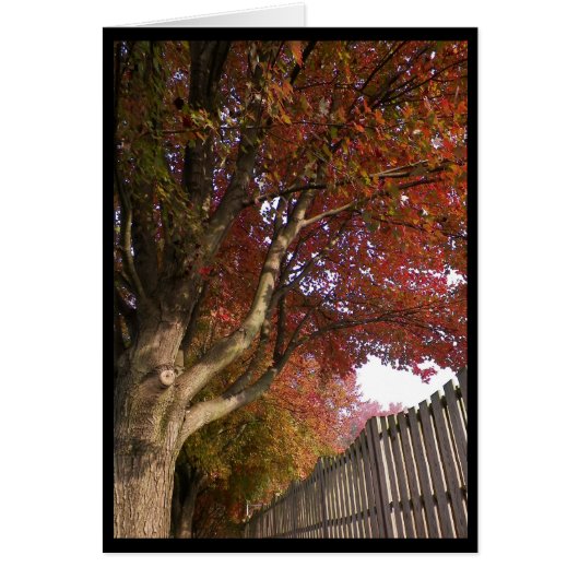 Autumn ~ 15 cards (Front)