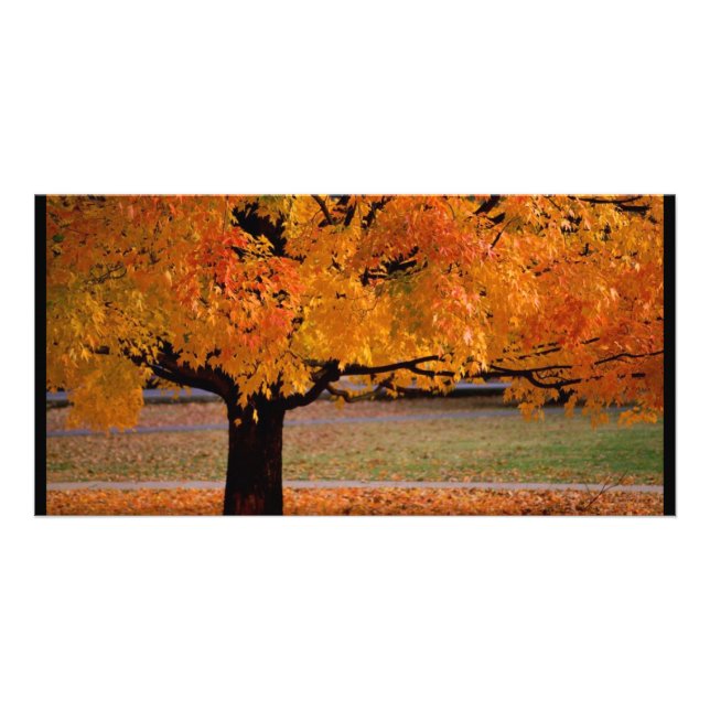 autumn (1) card (Front)