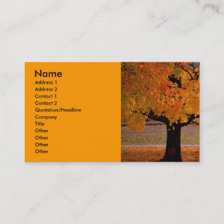autumn (1), Name, Address 1, Address 2, Contact... Business Card