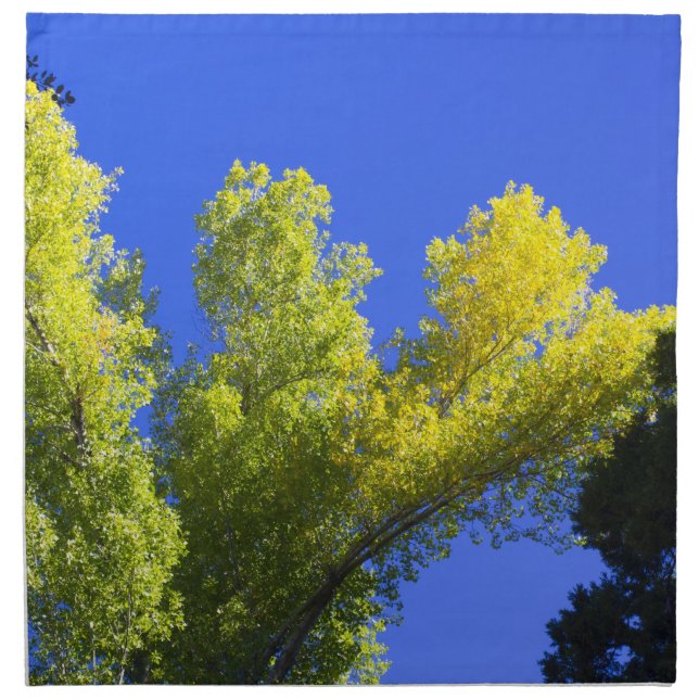 Autumn 1 napkin (Front)