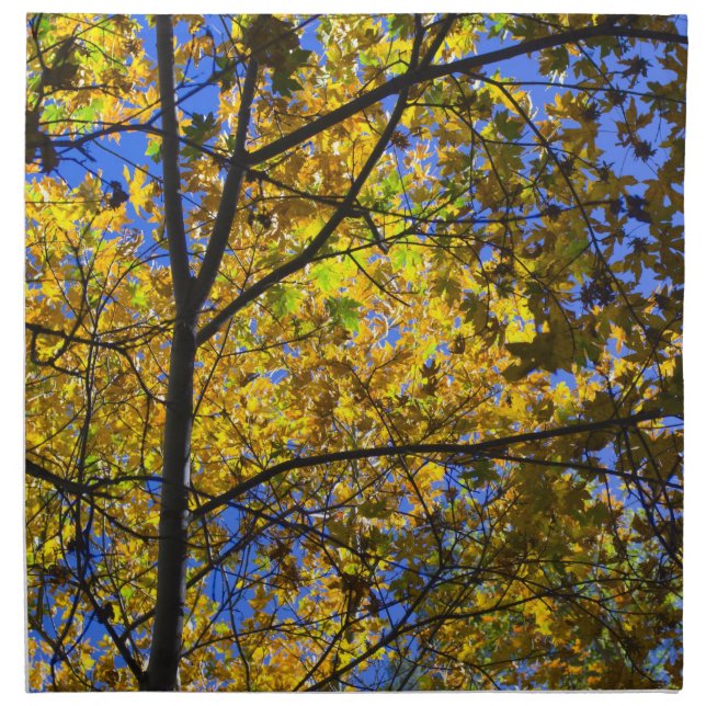 Autumn 2 napkin (Front)