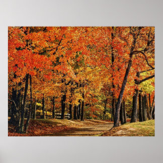 Autumn 30 bumped poster