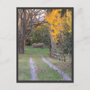 ~ Autumn ~ 30 Postcard