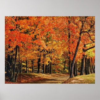 Autumn 30 poster