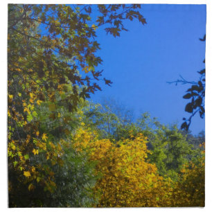 Autumn 4 cloth napkin