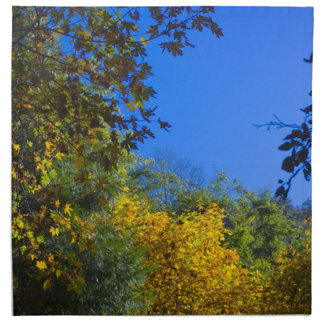 Autumn 4 cloth napkin (Front)