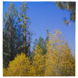 Autumn 5 cloth napkin